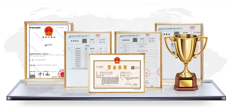 Company business license